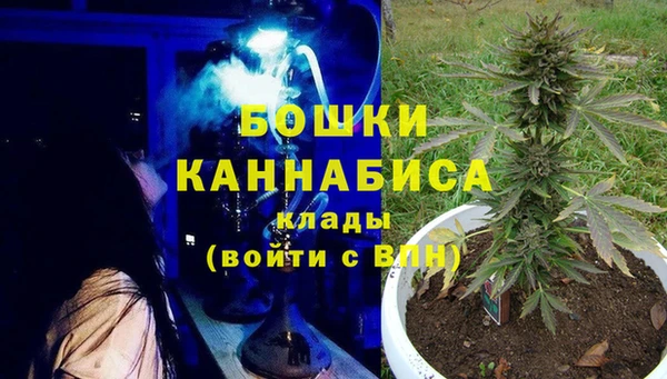 метадон Алексин