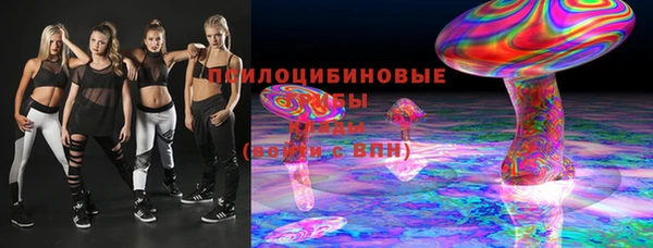 метадон Алексин
