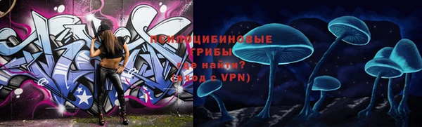метадон Алексин