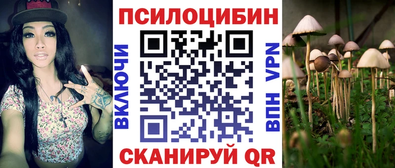Псилоцибиновые грибы Cubensis Сосновоборск