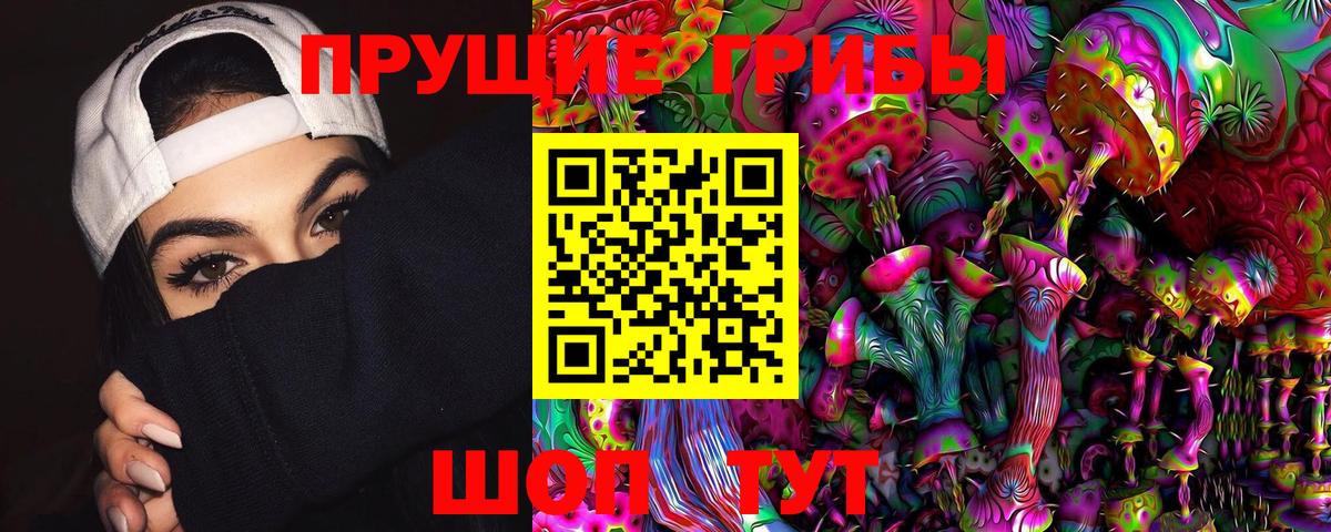 Сосновоборск  Псилоцибиновые грибы Magic Shrooms  Вход с VPN  Псилоцибиновые грибы прущие грибы 